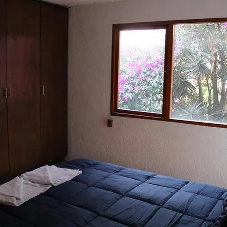 Casa Frida Coyoacan-3